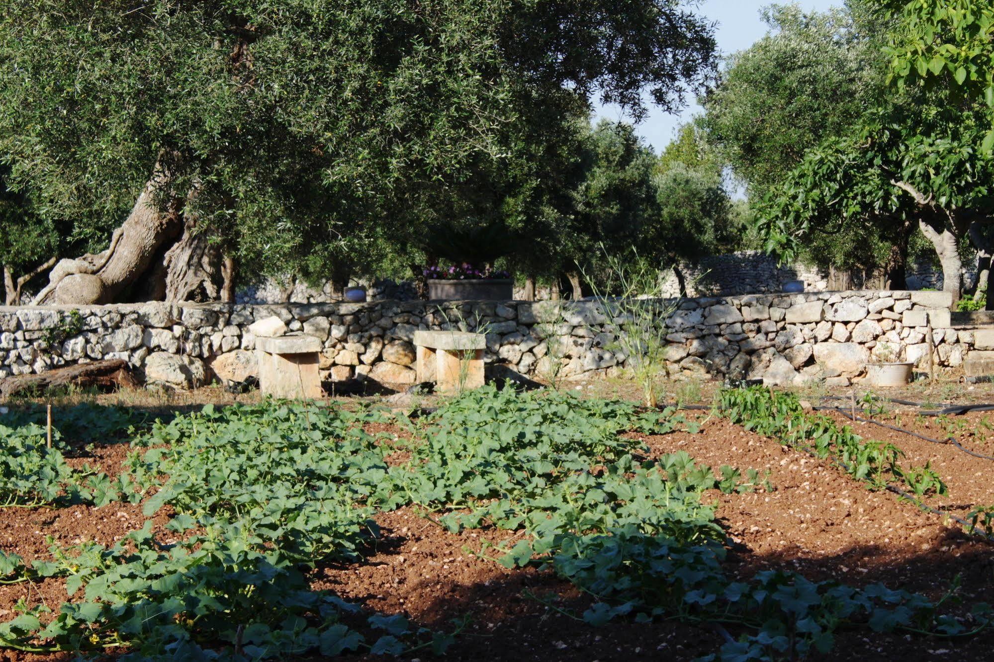 Tenuta Pigliano Hotel Bagnolo del Salento Exteriör bild